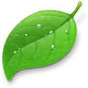 Coda Icon